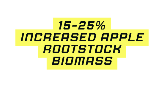 15 25 increased apple rootstock biomass
